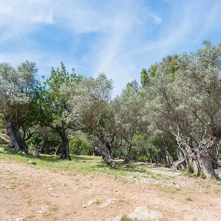 Sa Garriga De Barratot * Selva (Mallorca)